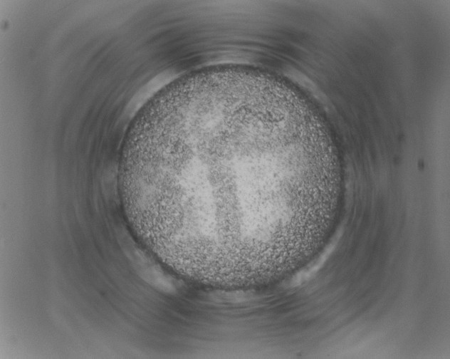 X0000067951121200604272052