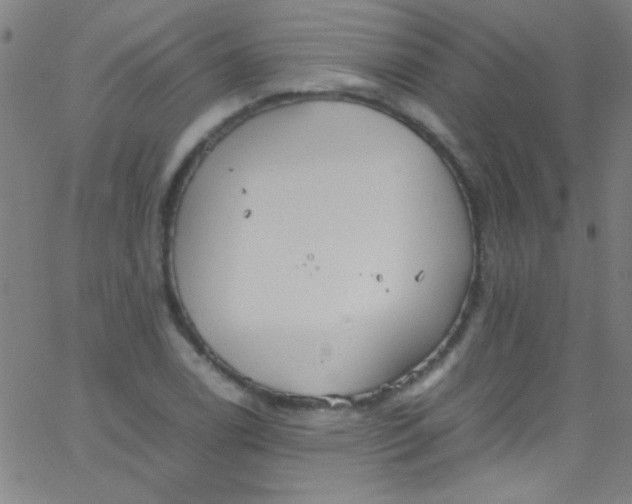 X0000067951122200604272052