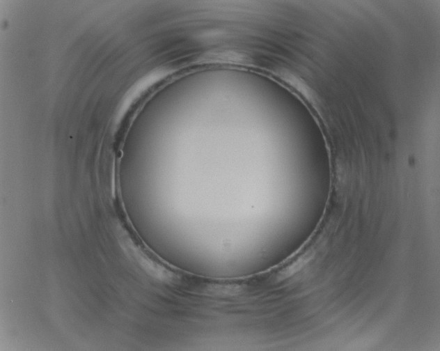 X0000067951123200604272052