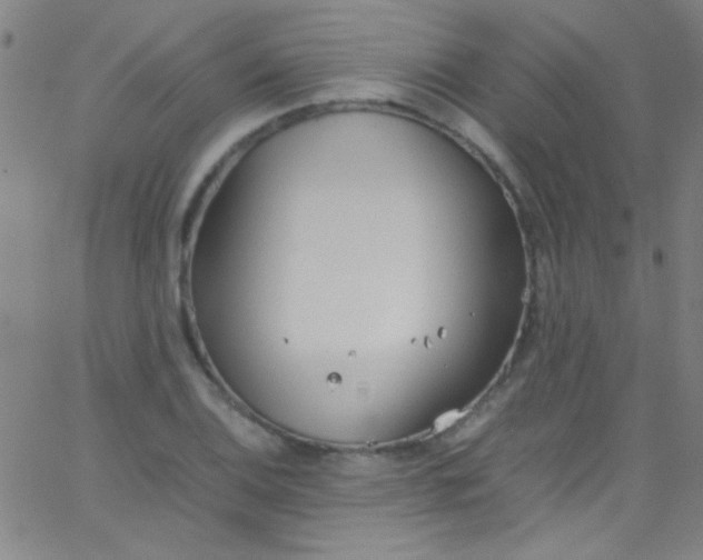 X0000067951124200604272052