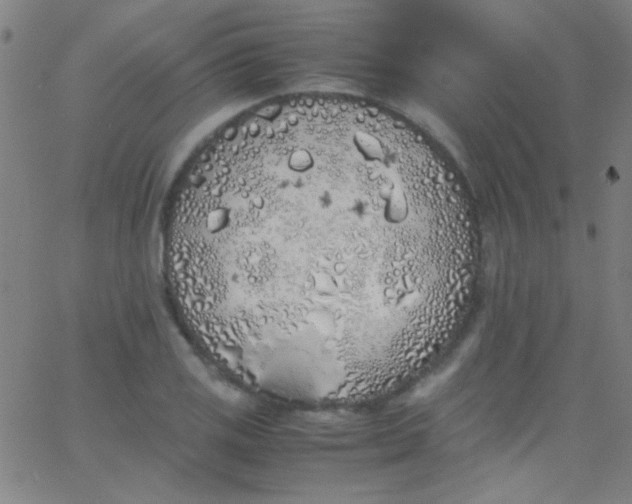 X0000067951125200604272052