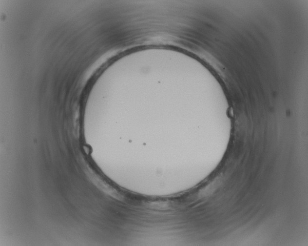 X0000067951126200604272052