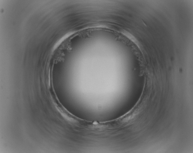 X0000067951127200604272052