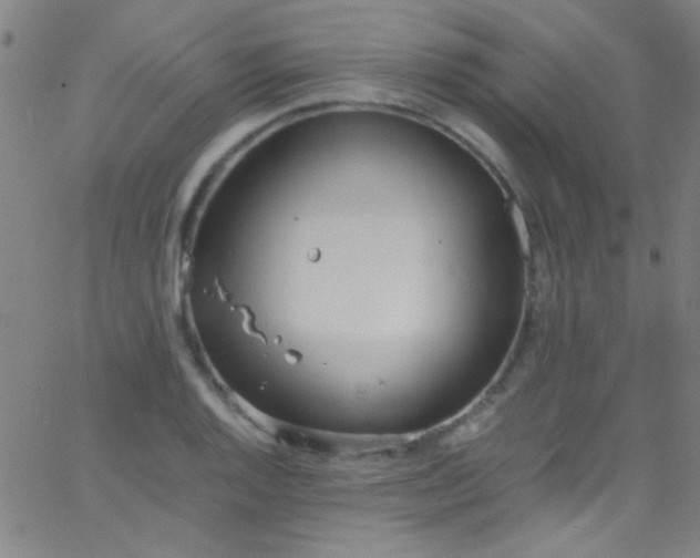 X0000067951128200604272052