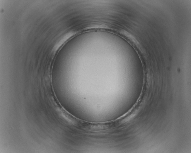 X0000067951129200604272052