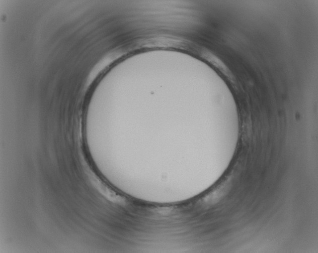 X0000067951130200604272052