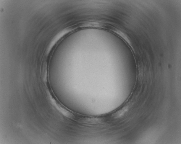 X0000067951131200604272052