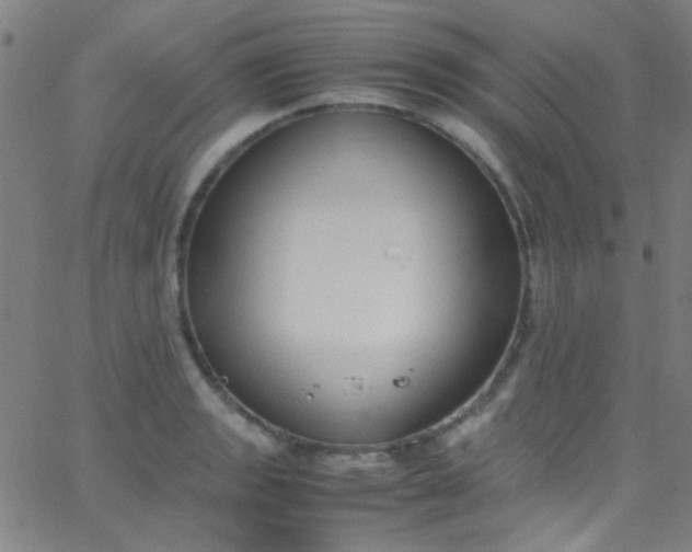 X0000067951133200604272052