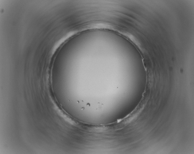 X0000067951134200604272052