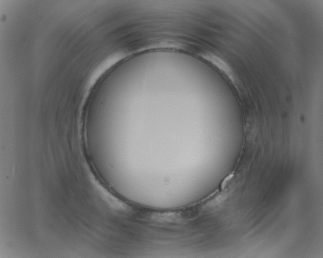 X0000067951135200604272052