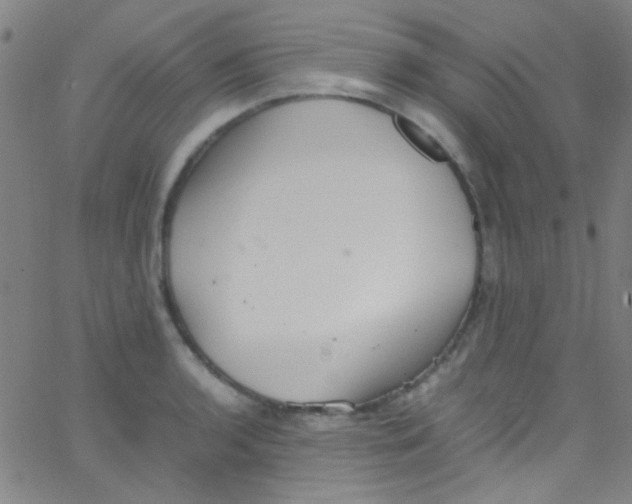 X0000067951136200604272052