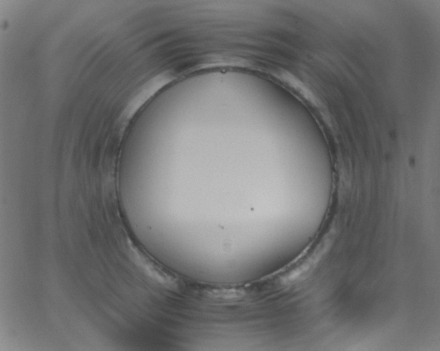 X0000067951137200604272052