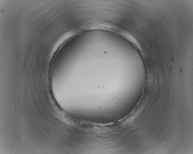 X0000067951138200604272052