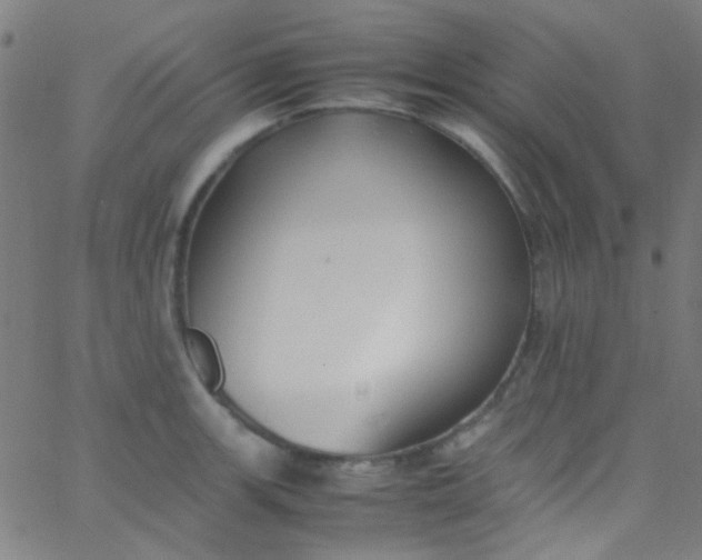 X0000067951139200604272053