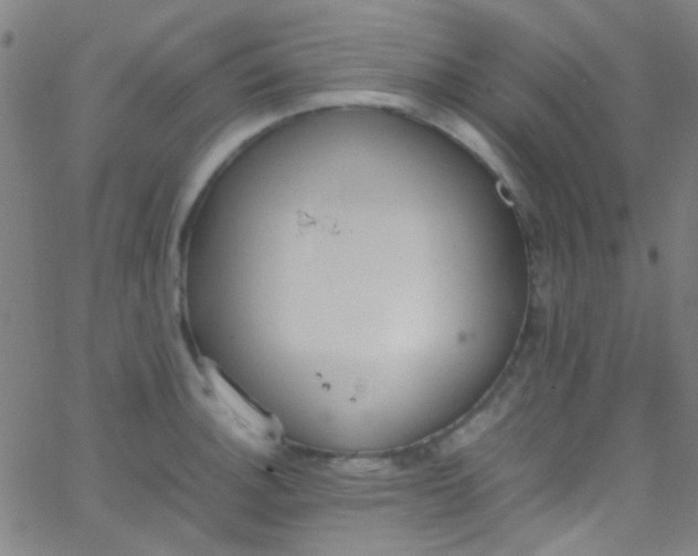 X0000067951140200604272053