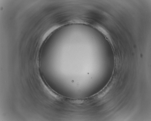 X0000067951141200604272053