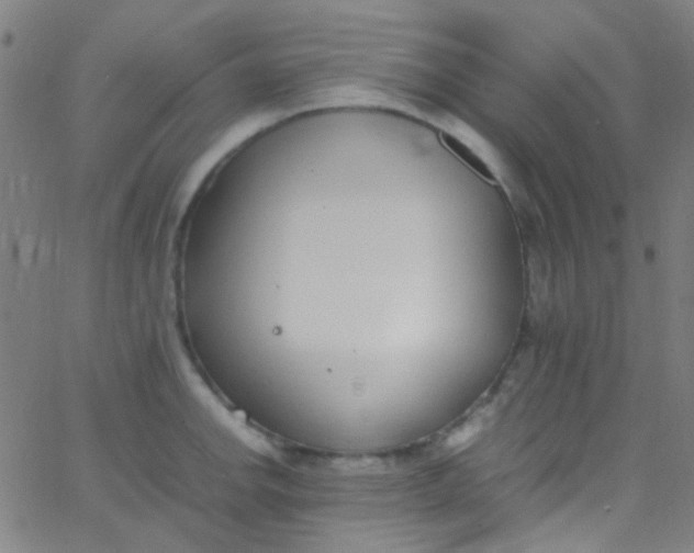 X0000067951142200604272053