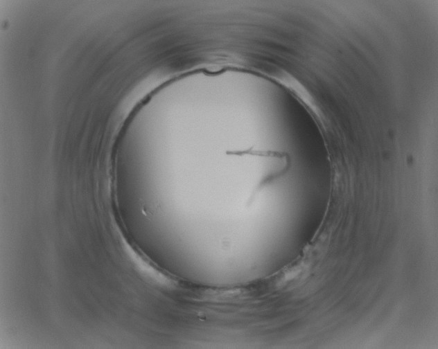 X0000067951143200604272053