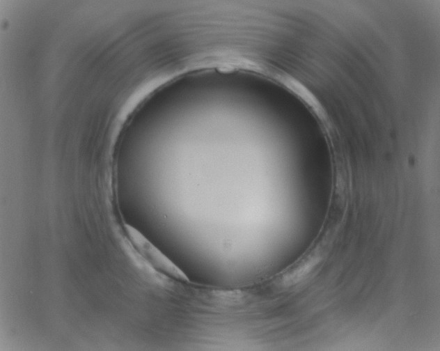 X0000067951144200604272053