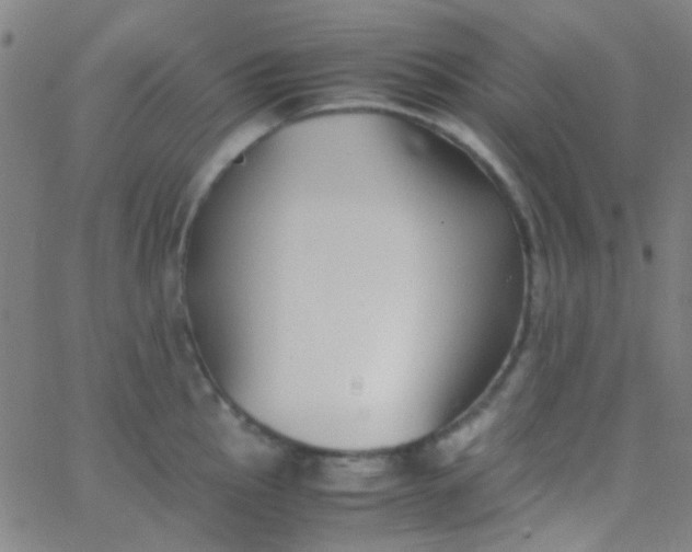 X0000067951145200604272053