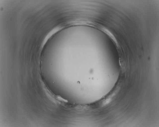 X0000067951146200604272053