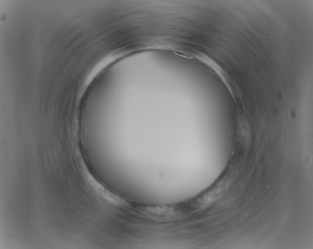 X0000067951147200604272053