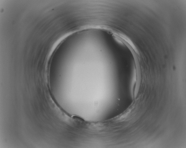 X0000067951148200604272053