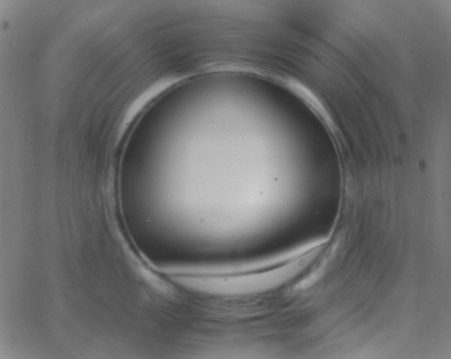 X0000067951149200604272053