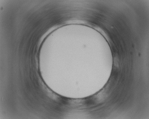 X0000067951150200604272053