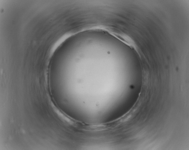 X0000067951151200604272053