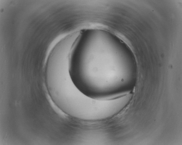 X0000067951152200604272053