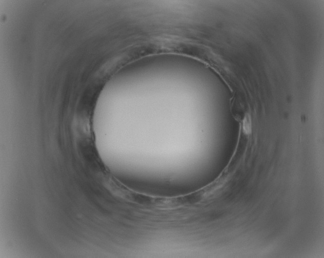 X0000067951155200604272052