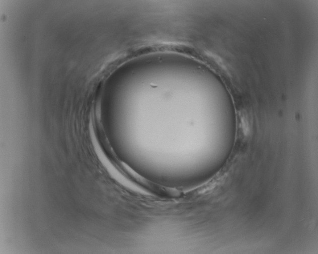 X0000067951157200604272052