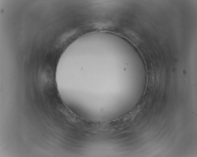 X0000067951158200604272052