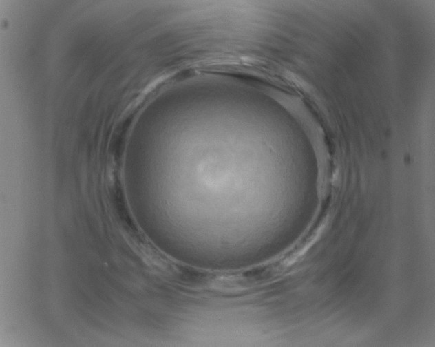 X0000067951161200604272052