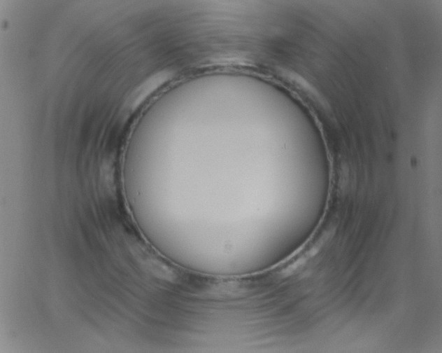 X0000067951162200604272052