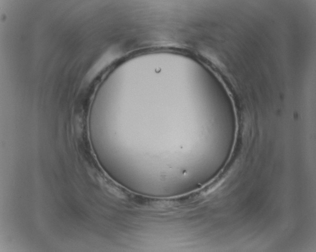 X0000067951163200604272052