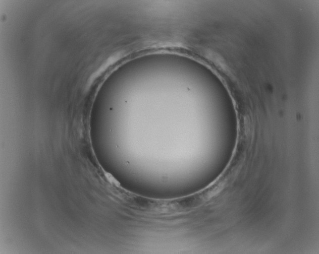 X0000067951165200604272052