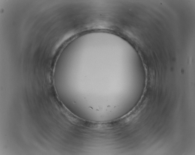 X0000067951166200604272052