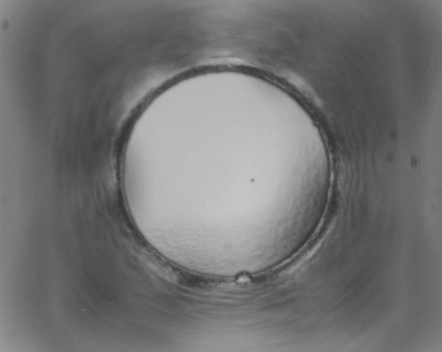 X0000067951167200604272052