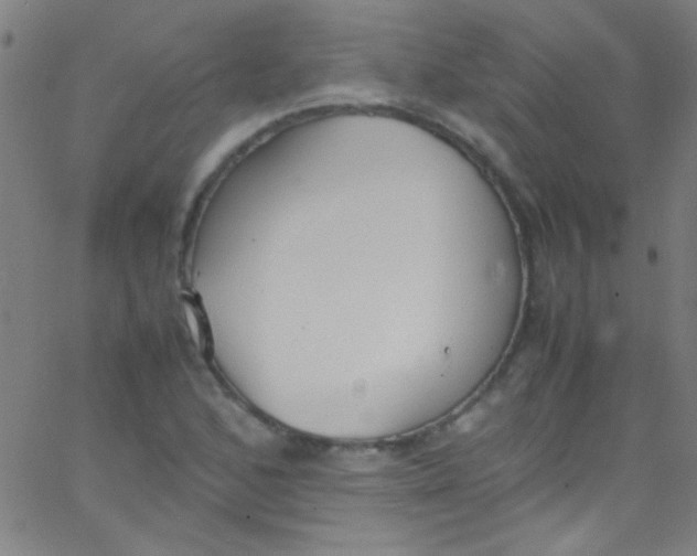 X0000067951168200604272052