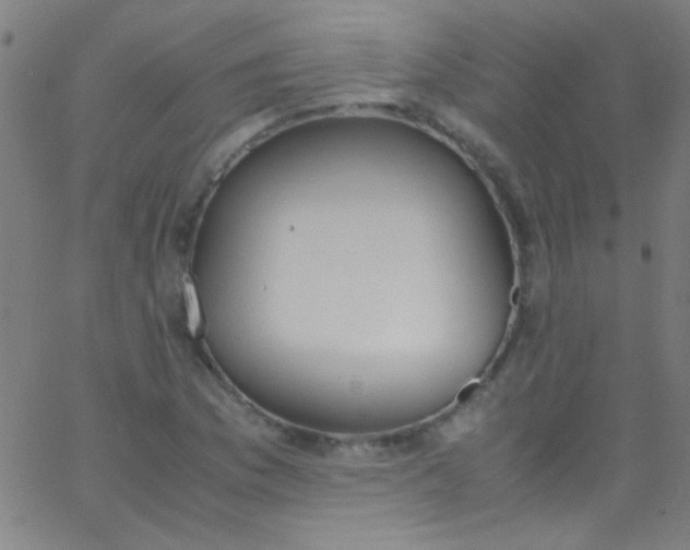 X0000067951169200604272052