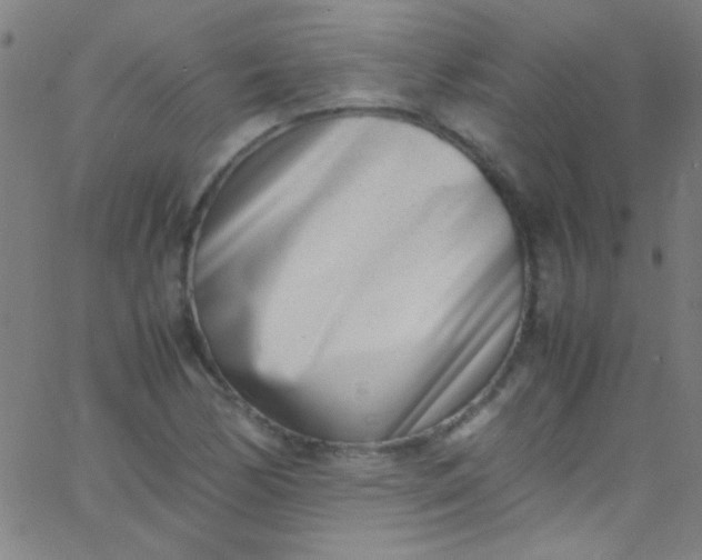 X0000067951170200604272052