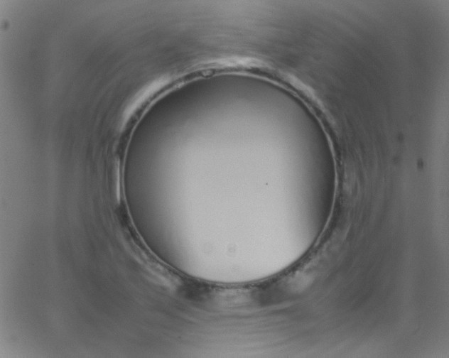 X0000067951171200604272052