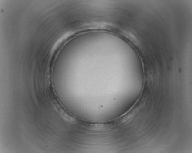 X0000067951172200604272052