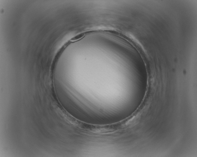 X0000067951173200604272052