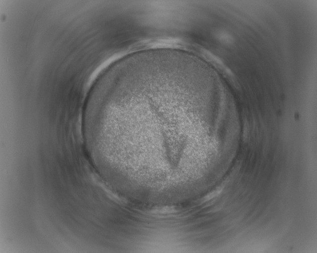 X0000067951174200604272052