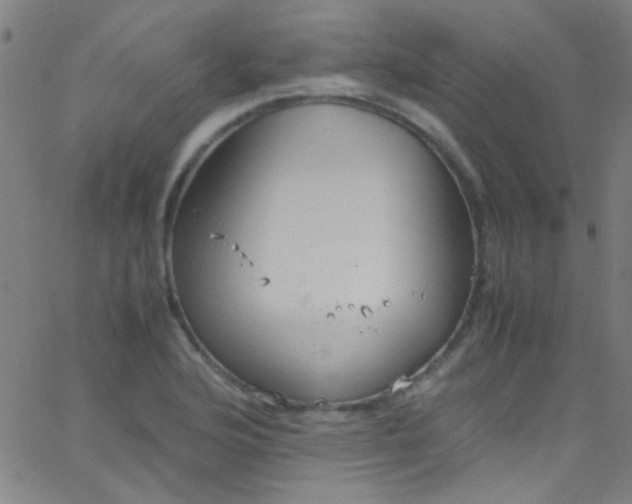 X0000067951176200604272052