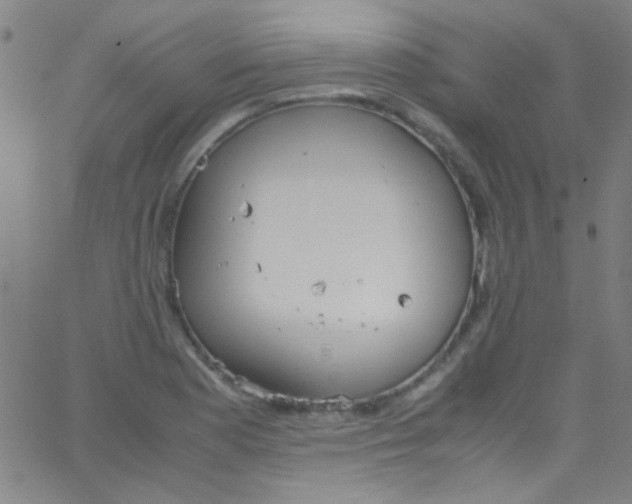 X0000067951177200604272052