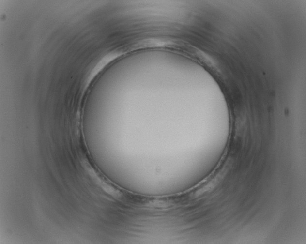 X0000067951178200604272052